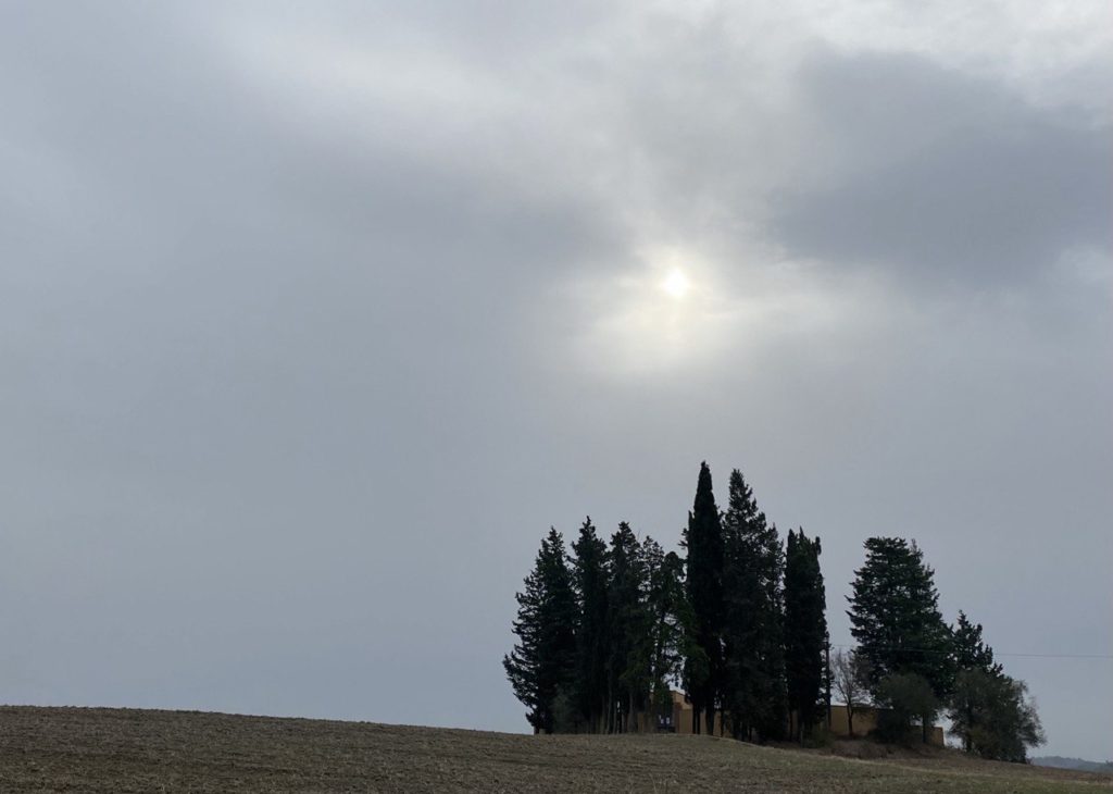 Montespertoli, Tuscany, Italy