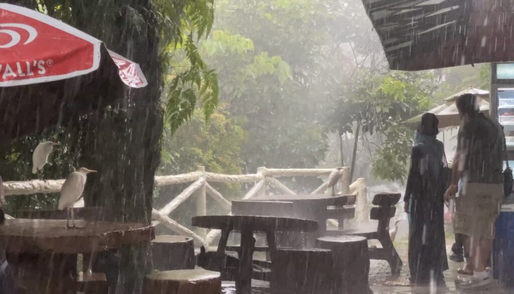 Kuala Lumpur Bird Park, Malaysia