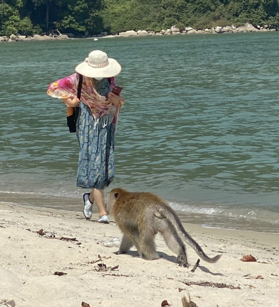 Monkey Island, Malaysia