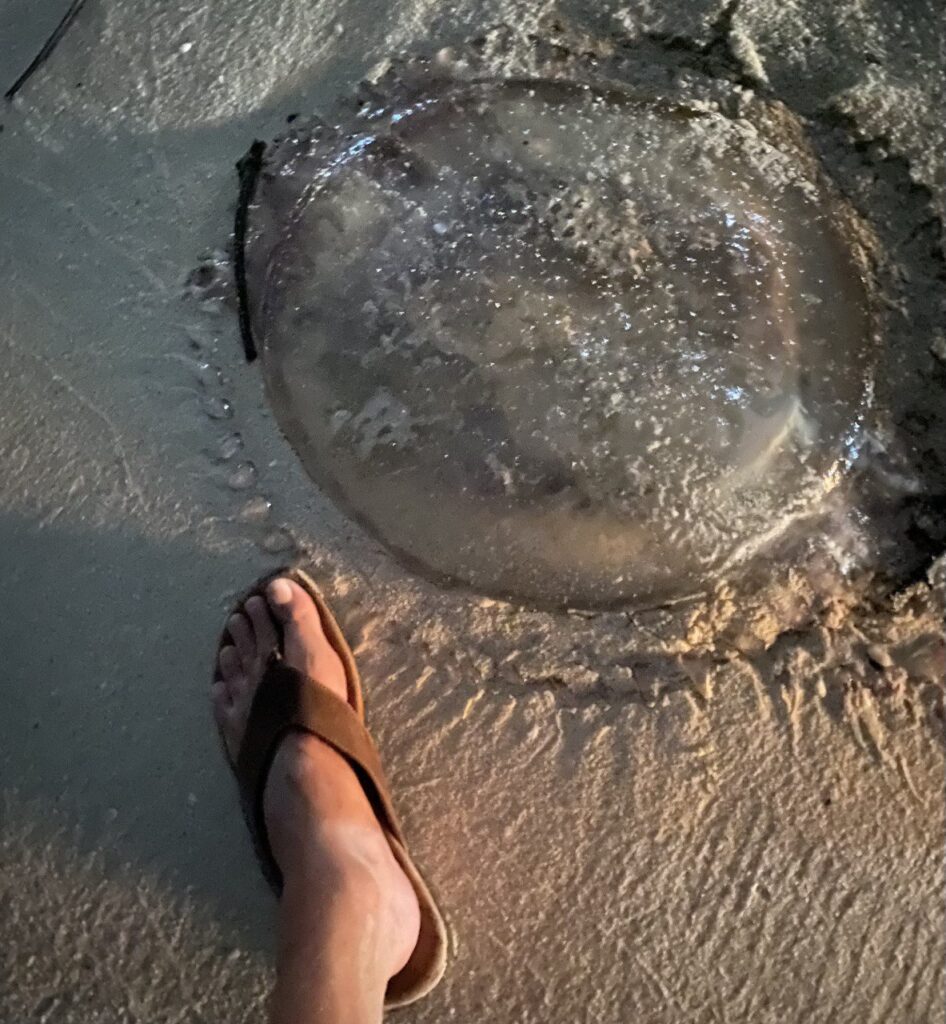 Pattaya Beach, Koh Lipe, Thailand