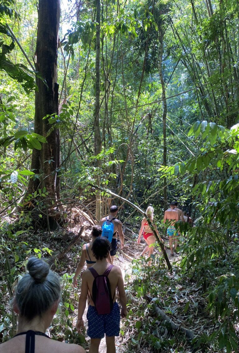 Khao Sok National Park, Khao Sok, Thailand