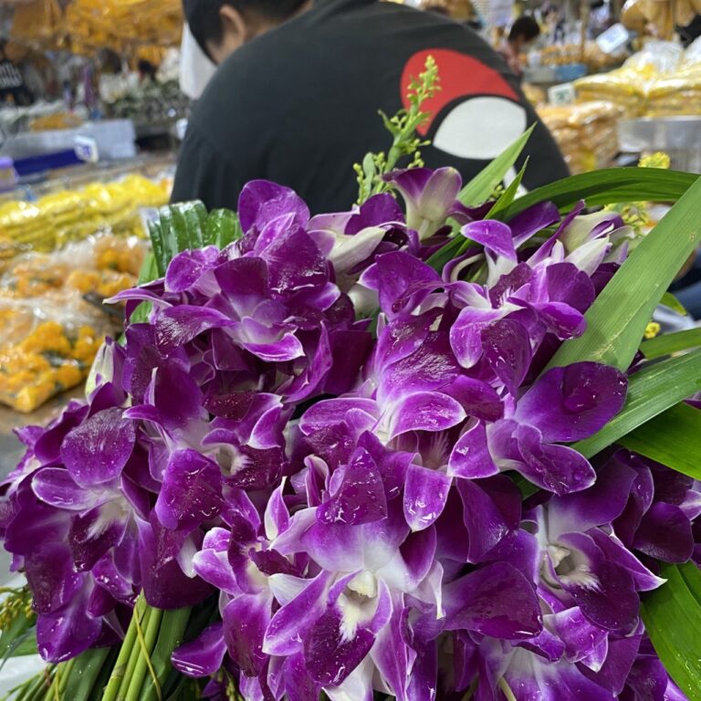 Flower market, Bangkok, Thailand