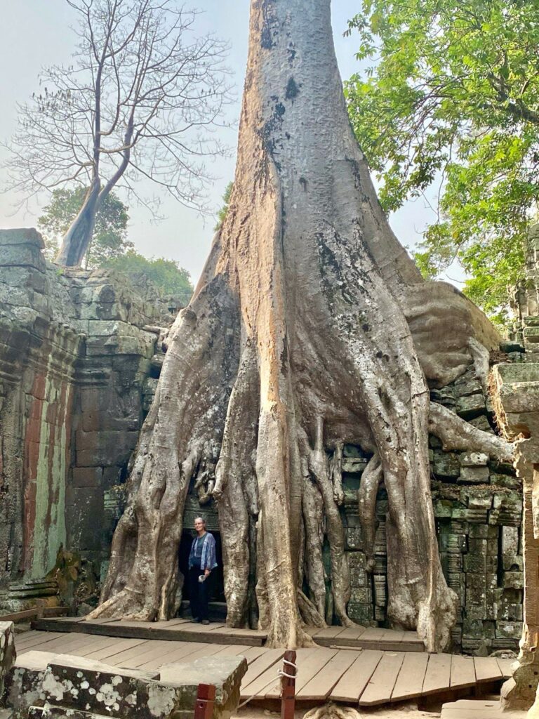 Ta Prohm, Angkor Wat complex, Cambodia