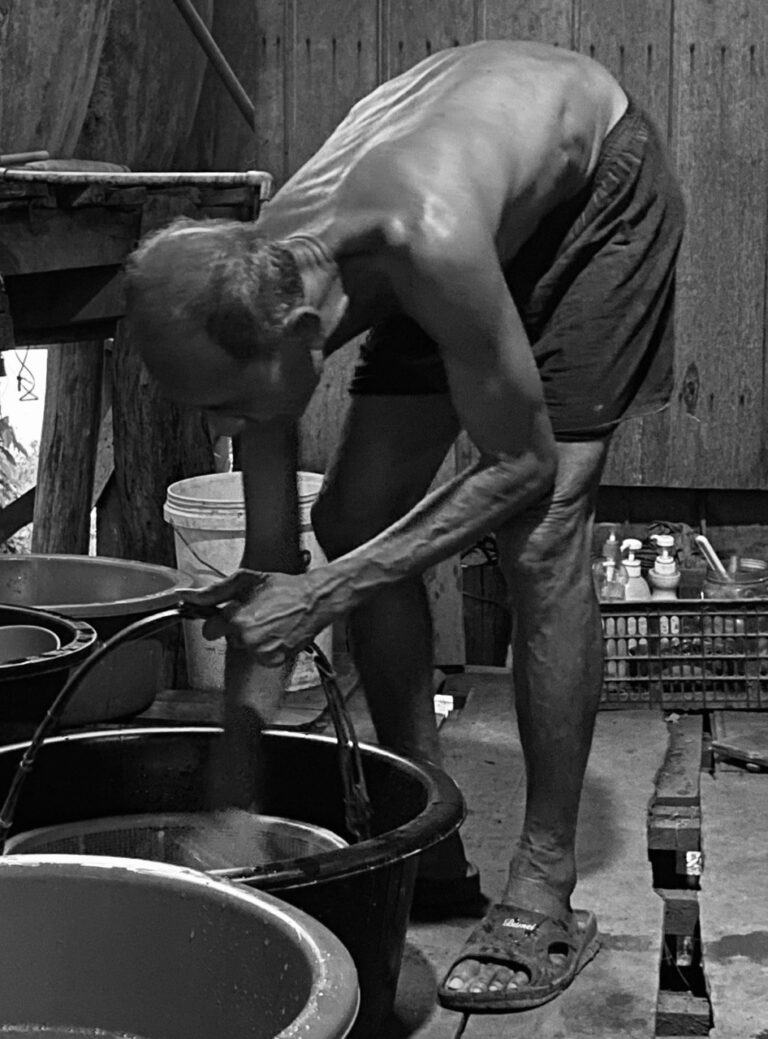 Noodle making, Kratie District, Cambodia