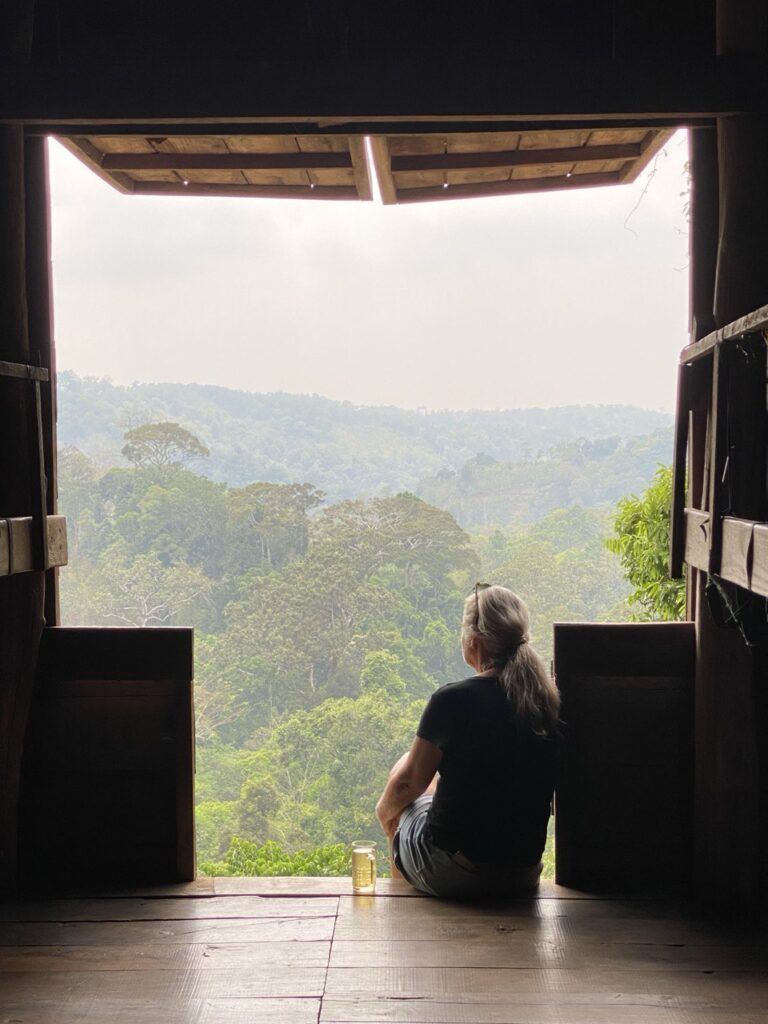 Mondulkiri Project Elephant Sanctuary, Mondulkiri, Cambodia