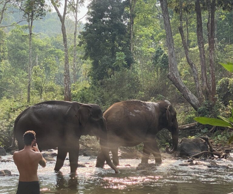 Mondulkiri Project Elephant Sanctuary, Mondulkiri, Cambodia