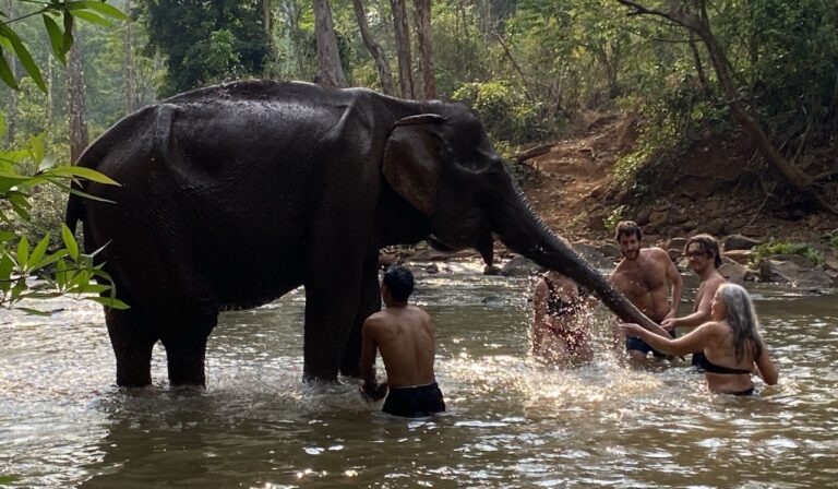 Mondulkiri Project Elephant Sanctuary, Mondulkiri, Cambodia