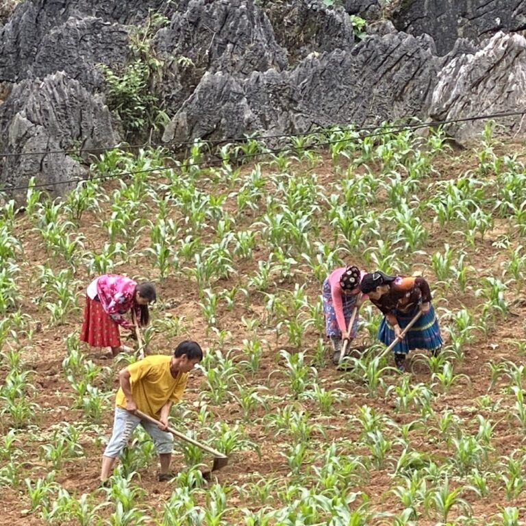 Ha Giang loop, Vietnam