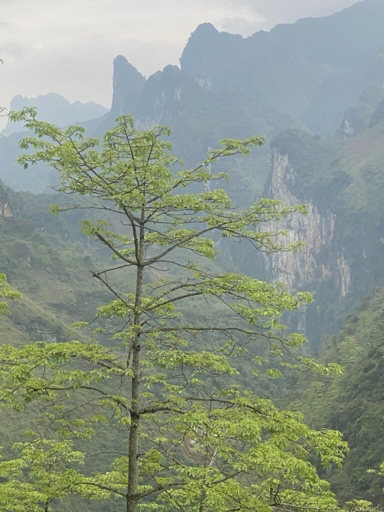 Ha Giang loop, Vietnam