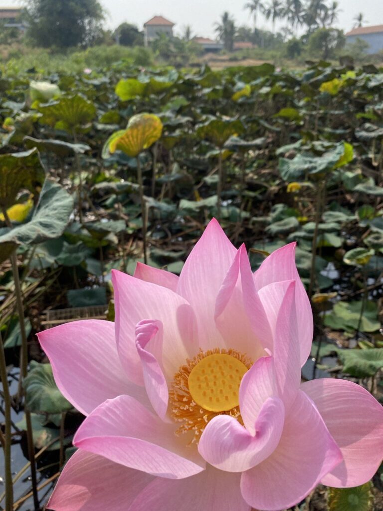 Kratie district, Cambodia