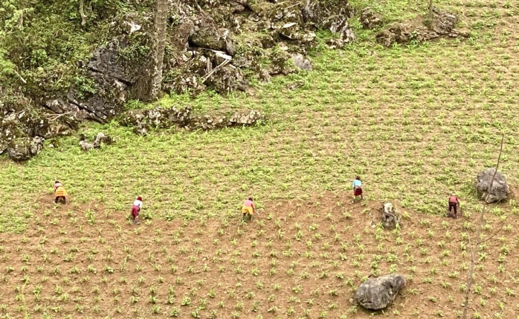 Ha Giang loop, Vietnam