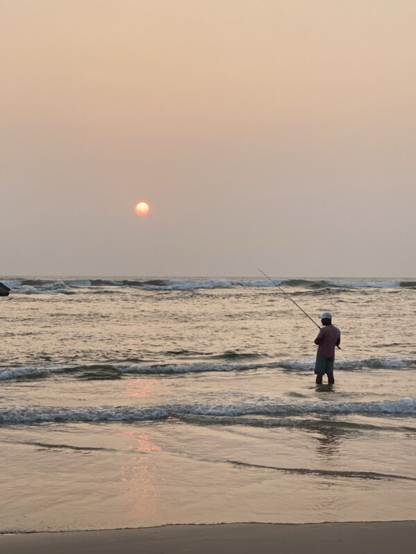 Sea angler, Aluthgama, Sri Lanka