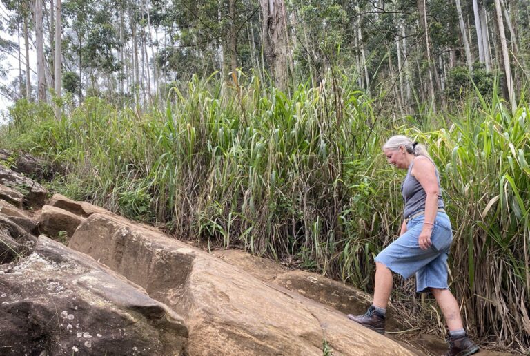 Ella Rock, Sri Lanka