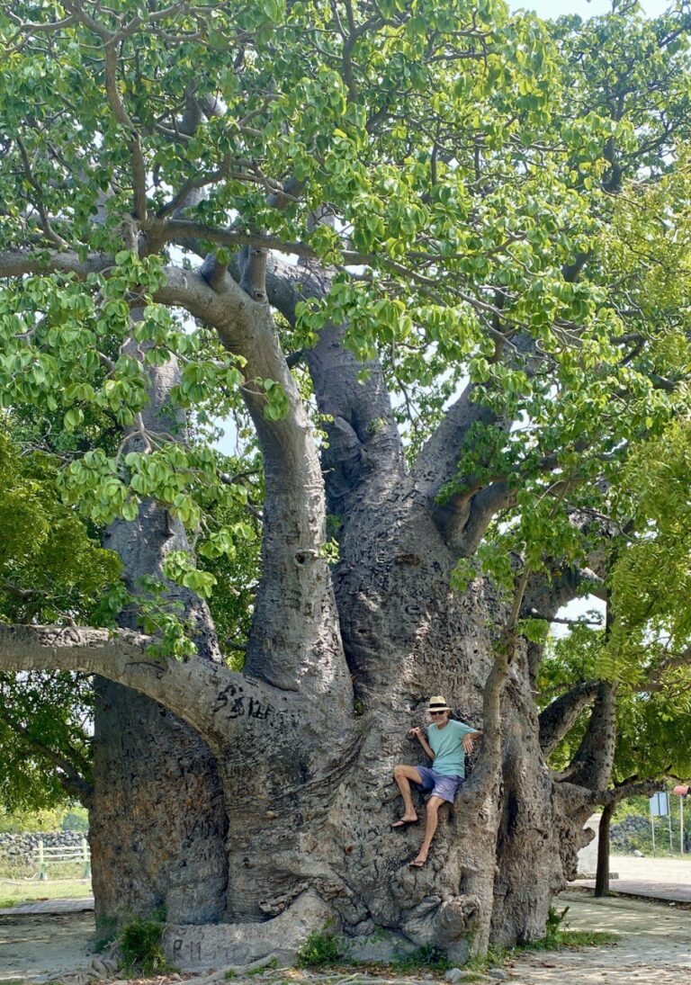 IMG_20260217_150306_481