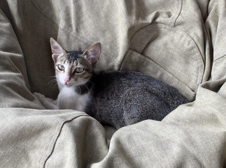 IMG_20260218_183833_046