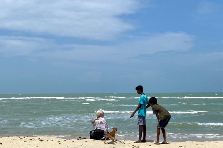 IMG_20260220_165537_676