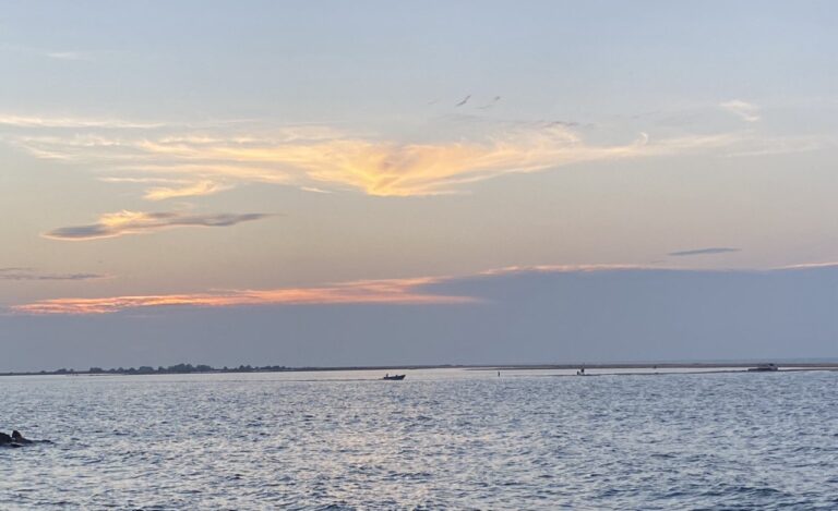 IMG_20260222_204432_368