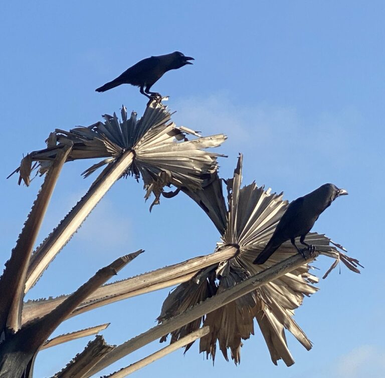 IMG_20260223_210033_695