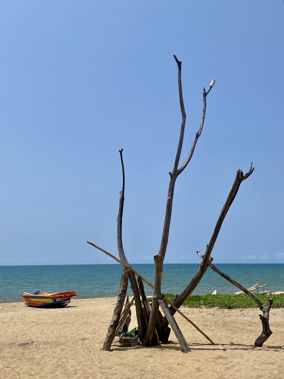 Dolphinchilling, Kalpitiya beach, Sri Lanka