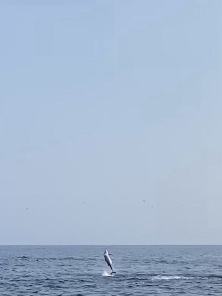 IMG_20260226_164944_905