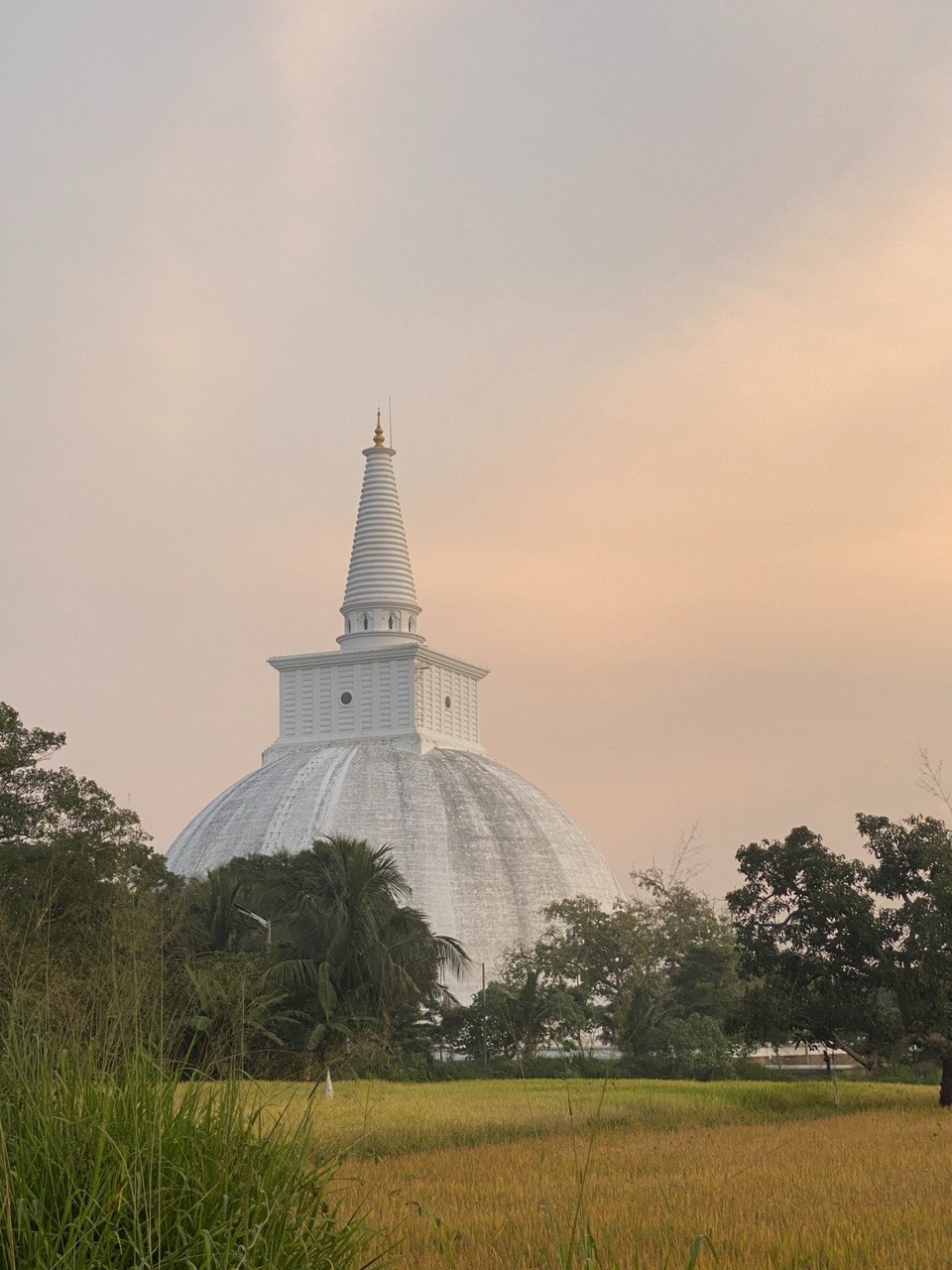 Stupa, Anuradhapura, Sri Lanka