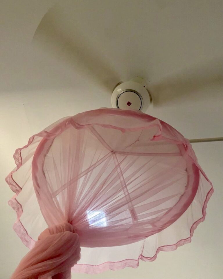 IMG_20260303_174956_448